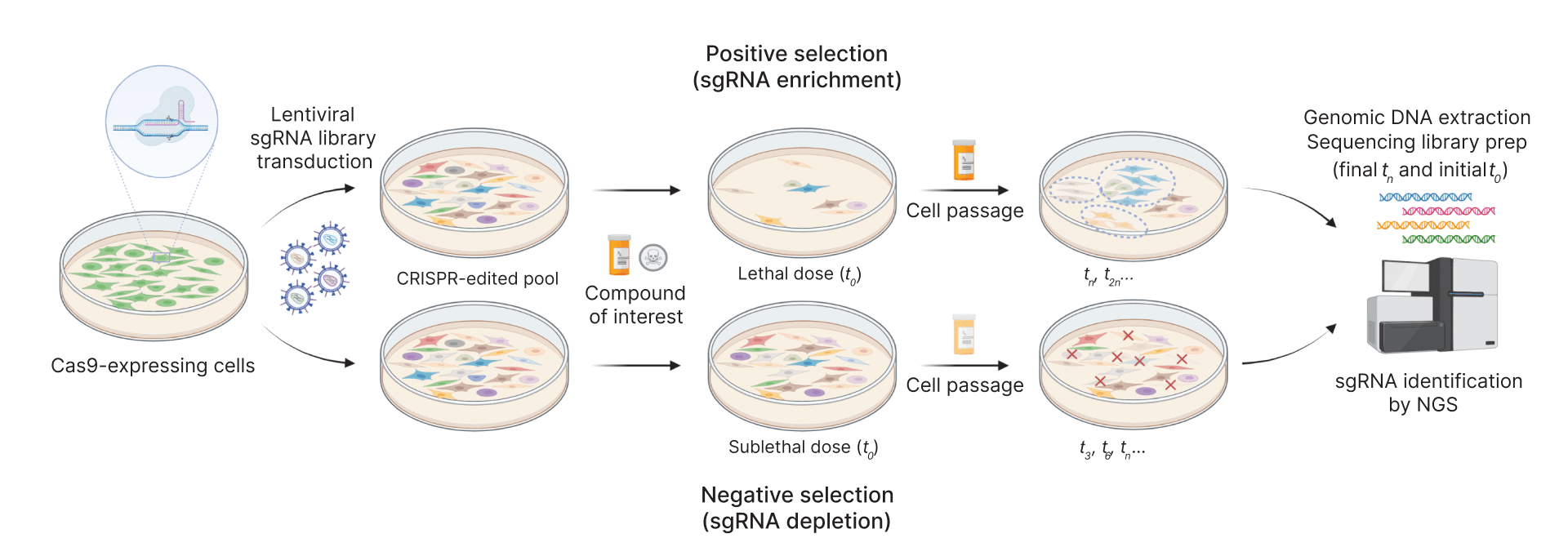 science-fg-1